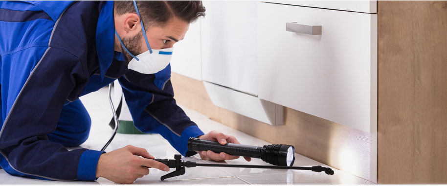 Fairborn Pest Control Xperts