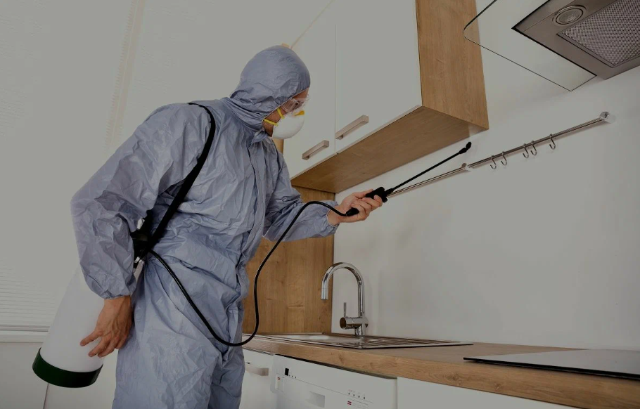Pest Xperts Control